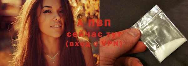 твердый Волоколамск